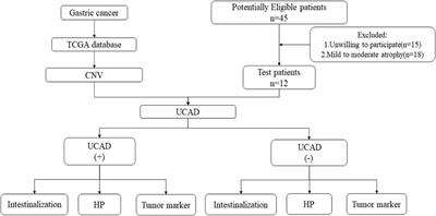 Detection of chromosomal instability using ultrasensitive chromosomal aneuploidy detection in the diagnosis of precancerous lesions of gastric cancer